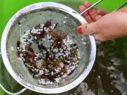 One billion plastic pellets spill into River Tyne