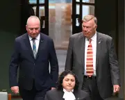 One Nation immigration targets 'all over the shop' after Joyce says colleague misspoke