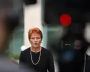 One Nation's Confusing Immigration Policy: Hanson's Secret Weapon