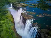 Optical Illusion Personality Test: Waterfall or Panda First?
