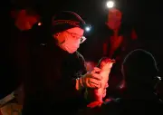 Over 1,000 Little Penguins Vaccinated Against Bird Flu in Victoria