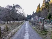 Parish councils oppose Hamsterley Forest holiday park plan