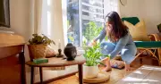 Peace lilies bloom better with simple 10-second relocation job