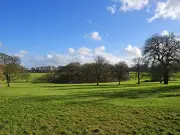 Pensioner in hospital after unprovoked attack in St Helens park