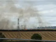 People urged to avoid area as firefighters tackle blaze at North East park