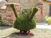 Peppa Pig Hedge 'Beheaded' by Vandals Prompts Police Appeal