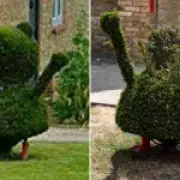 Peppa Pig Hedge Sculpture Decapitated by Vandals in Oxfordshire