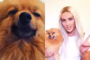 Perrie Edwards heartbroken after death of her dog Hatchi