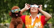 Pet owners warned ahead of solar eclipse tonight