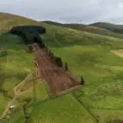 Phallic-Shaped Penis Woods Chopped Down Despite Opposition