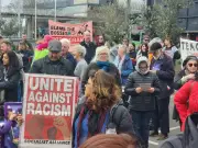 Police probe claims car deliberately driven at anti-racism protester