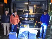 Police Seize 86kg of Cannabis from Sao Paulo Team Bus