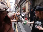 Pony pints at Liverpool pub to mark 100th anniversary of death of famous donkey