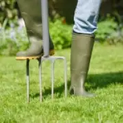 Prepare Your Garden for Rain After UK Drought