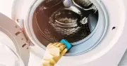 Prevent Washing Machine Mould with Simple Door Trick