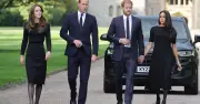Prince Harry 'must apologise to William' before Christmas royal reunion, expert says