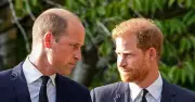 Prince Harry 'thrown in dog bowl' by William after savage 10 words