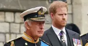 Prince Harry's Highgrove Reunion: Why 'Half-In, Half-Out' Is Impossible