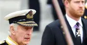 Prince Harry's UK return 'about King Charles' money', claims TV star