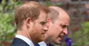 Prince William faces 'unfair' Harry problem when king, expert warns