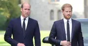 Prince William needs 2 things for Harry meeting, nothing else will do