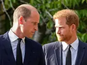 Prince William Warns Harry's UK Return Faces Fresh Battle