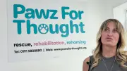 Project CatSnip: free neutering events tackle North East stray cats