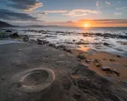 Protect Fossils from Hammer-Wielding Tourists, Experts Urge