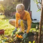 Protect your garden from wildfires as UK heatwave continues