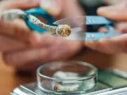Psilocybin Eases Tough Depression in King's College Trial