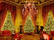 Raby Castle brings back Christmas event and adds Santa Paws for dogs