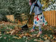 Rake fallen leaves in September to keep lawns healthy, expert says