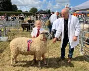 Rare Wensleydale Sheep Shine at Garstang Agricultural Show