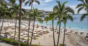 Rats on Gran Canaria beaches spark tourism fears