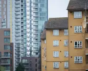 Reform proposes evicting tenants over unkempt gardens