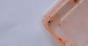 Remove oily stains from plastic containers with 65p cleaning solution