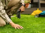 Revive Brown Lawns in Three Simple Steps After UK Heatwave