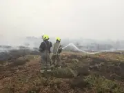 Rewilding blamed for wildfire risk after Minsmere blaze