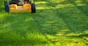 RHS warns gardeners against using lawn fertiliser on drought-hit grass