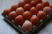 Rise in salmonella cases linked to imported eggs, UKHSA says