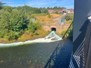 River Irwell turns green amid 'milk dump' speculation