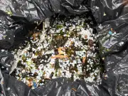River Tyne nurdles spill: Volunteers call for national emergency