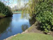 Rochdale's Award-Winning Springfield Park: A Summer Day Out