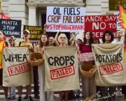 Rosebank oilfield could be net zero compatible with CCS conditions