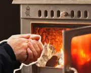 Royal estates rent out homes failing energy standards