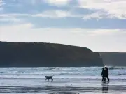 RSPCA Warns Public of Beach Dangers to Animals This Summer