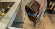 Rub vinegar on bins to stop flies, households told