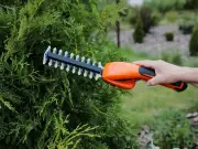 Rules for trimming a neighbour's overhanging hedge explained