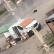 Russian drone hunts fruit seller in Kherson 'human safari'