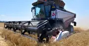 Russian food crisis looms as every fifth farmer faces bankruptcy
